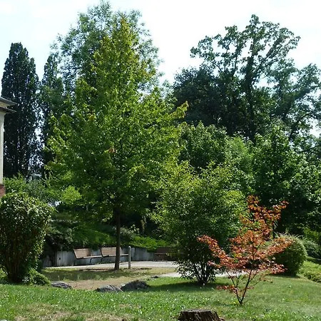 公寓 斯皮尔伯格公寓 韦茨拉尔