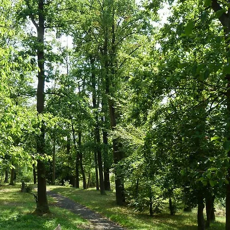 斯皮尔伯格公寓 公寓 韦茨拉尔