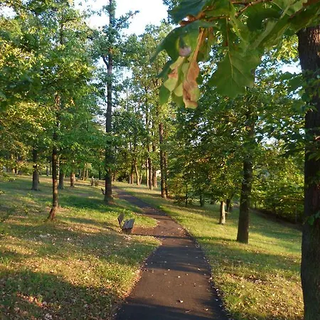 公寓 斯皮尔伯格公寓