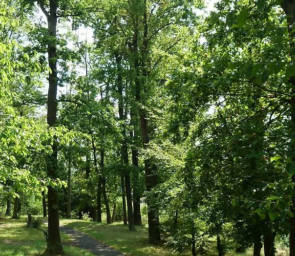 Spilburg 아파트 베츨러